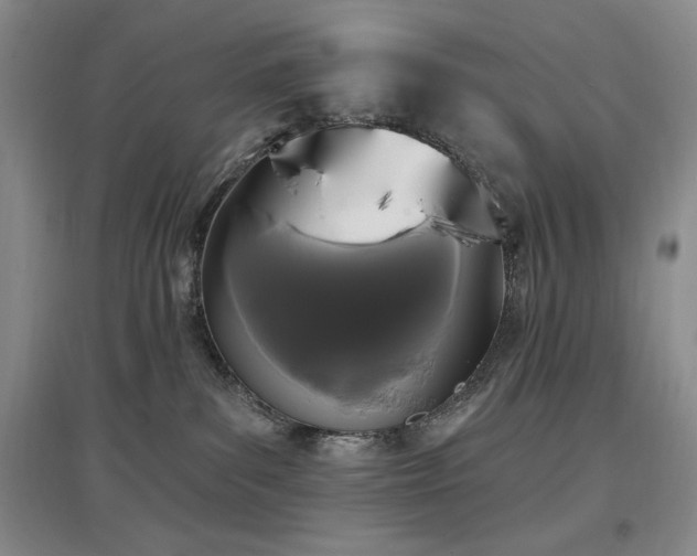 X0000097510139200802221515