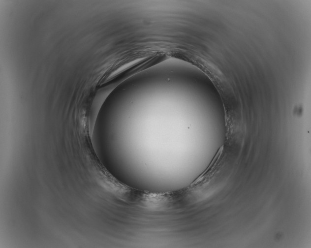 X0000097510141200802221515
