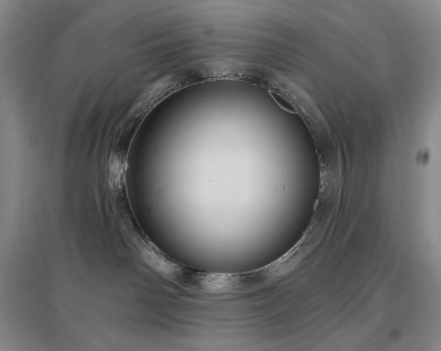 X0000097510142200802221515