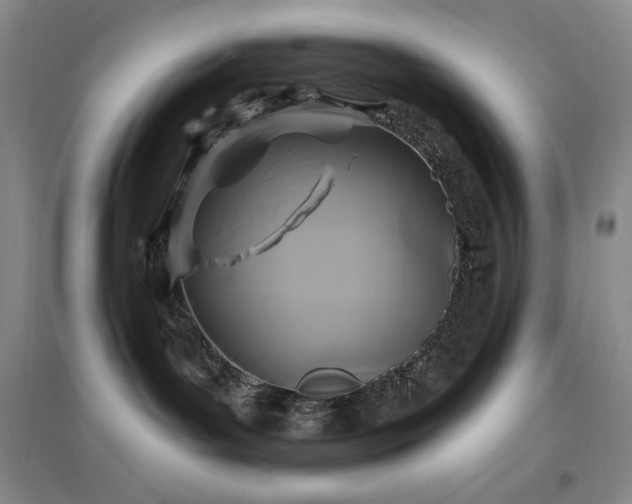 X0000097510143200802221515