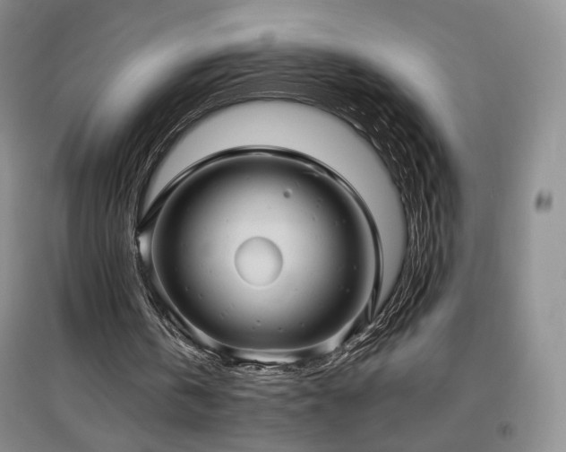X0000097510146200802221515