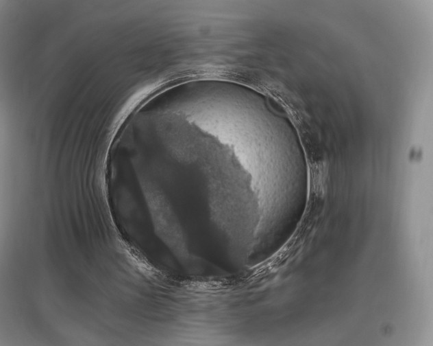 X0000097510147200802221515