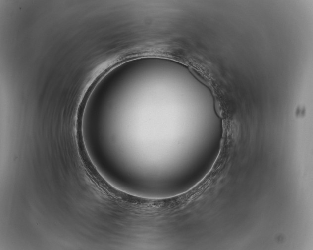 X0000097510148200802221515