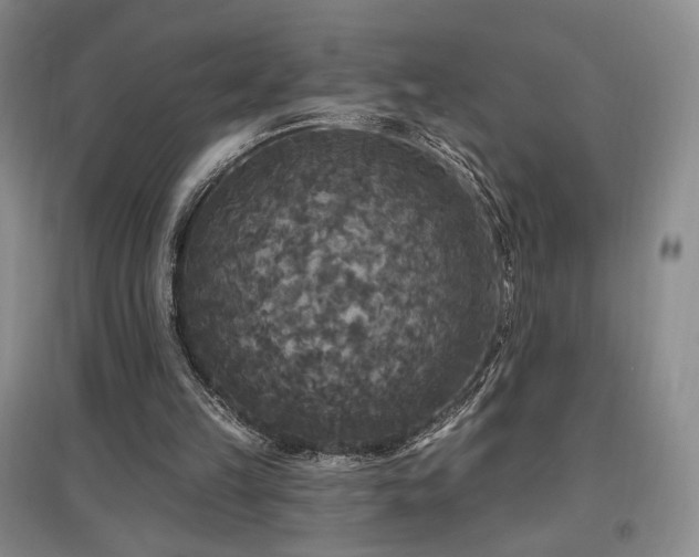 X0000097510149200802221515