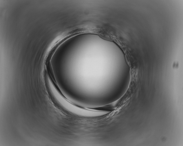 X0000097510150200802221515