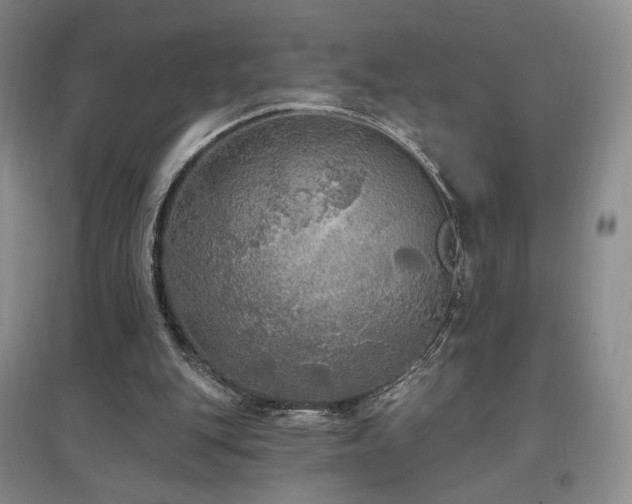 X0000097510151200802221515