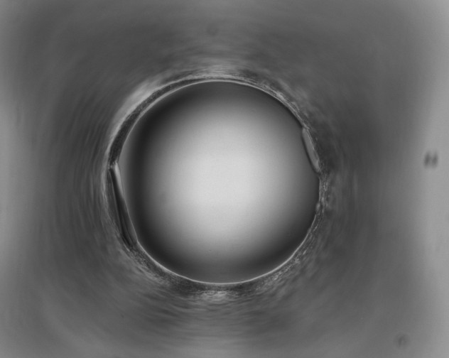 X0000097510152200802221515