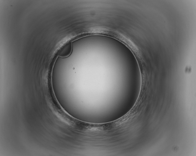 X0000097510155200802221515