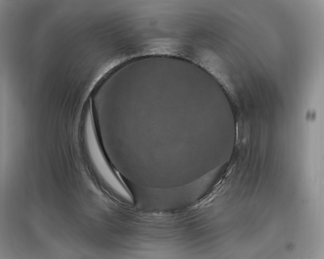 X0000097510156200802221515