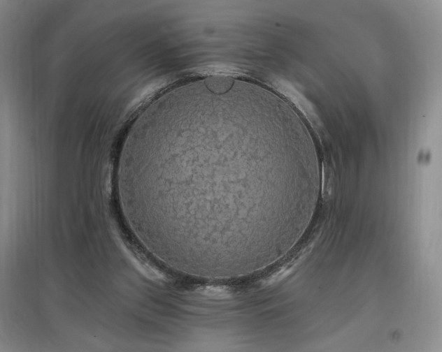 X0000097510157200802221515