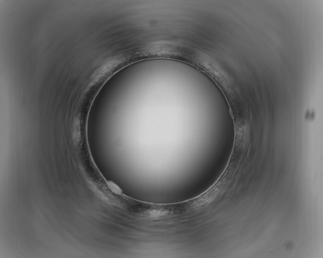 X0000097510158200802221515
