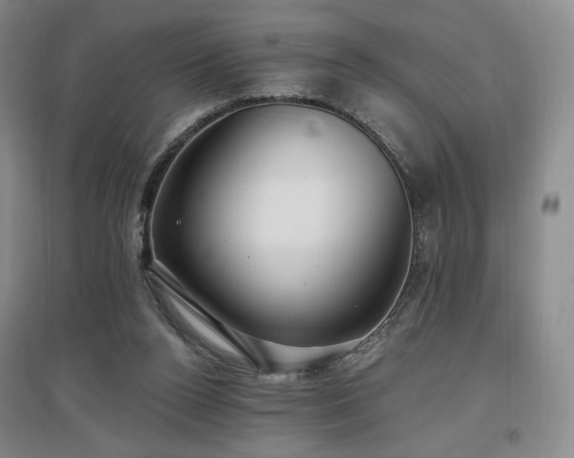 X0000097510160200802221515