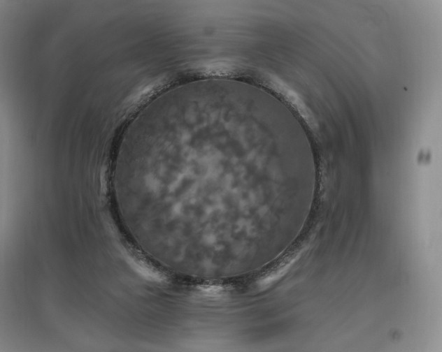 X0000097510161200802221515