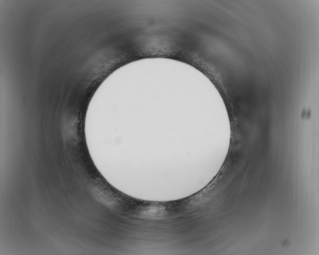 X0000097510162200802221515