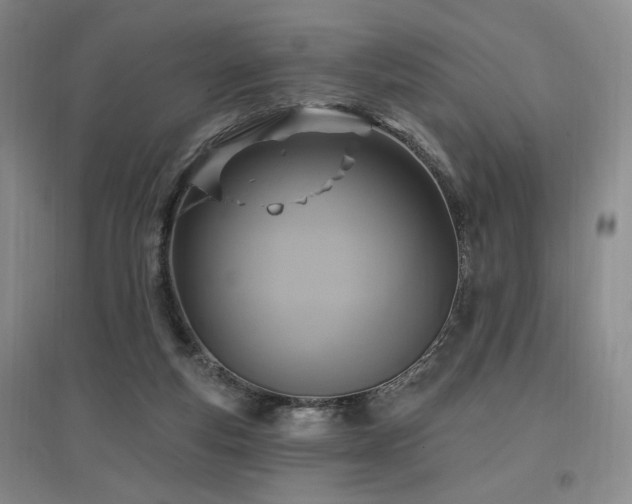 X0000097510163200802221515