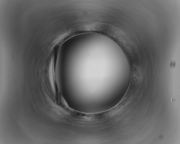 X0000097510164200802221515
