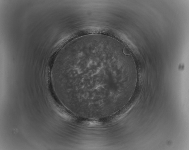 X0000097510165200802221515