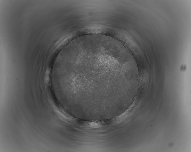 X0000097510166200802221515