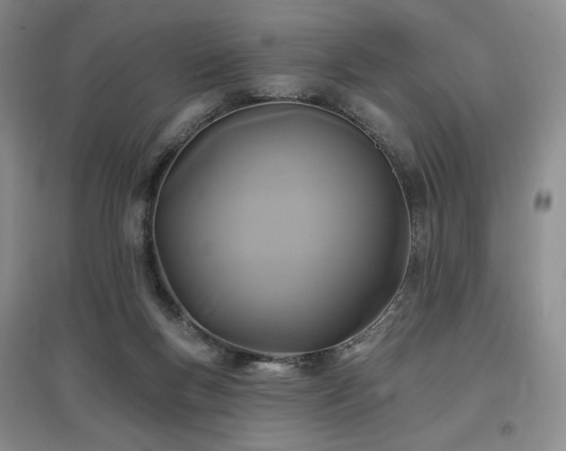 X0000097510167200802221515