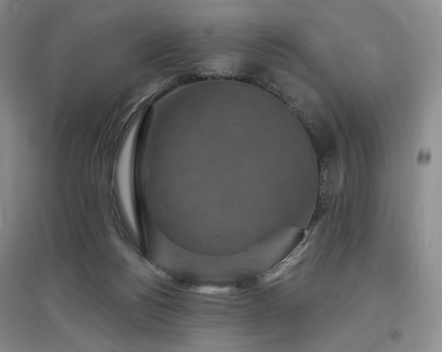 X0000097510168200802221515