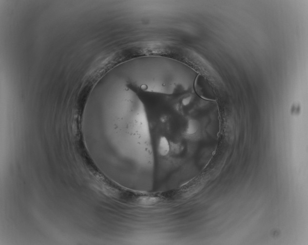 X0000097510169200802221515