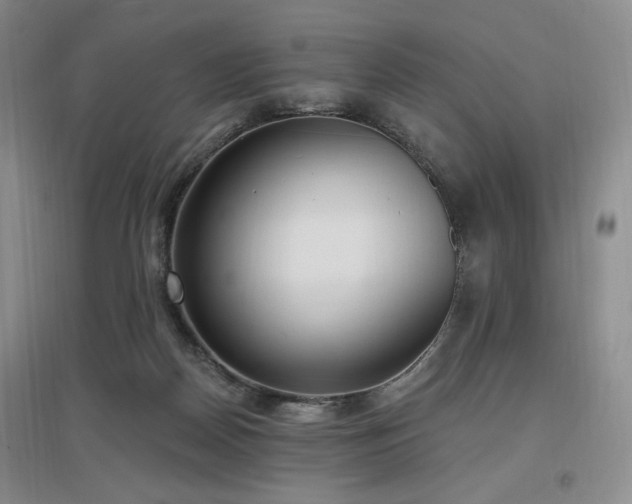 X0000097510170200802221515