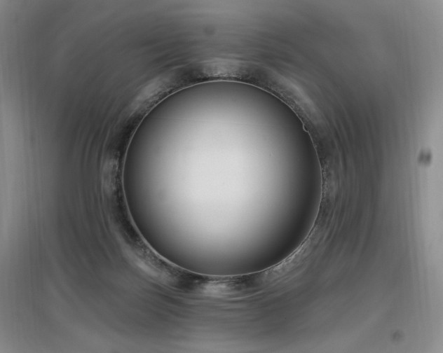X0000097510171200802221515