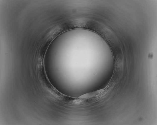 X0000097510172200802221515