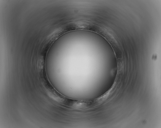 X0000097510174200802221515