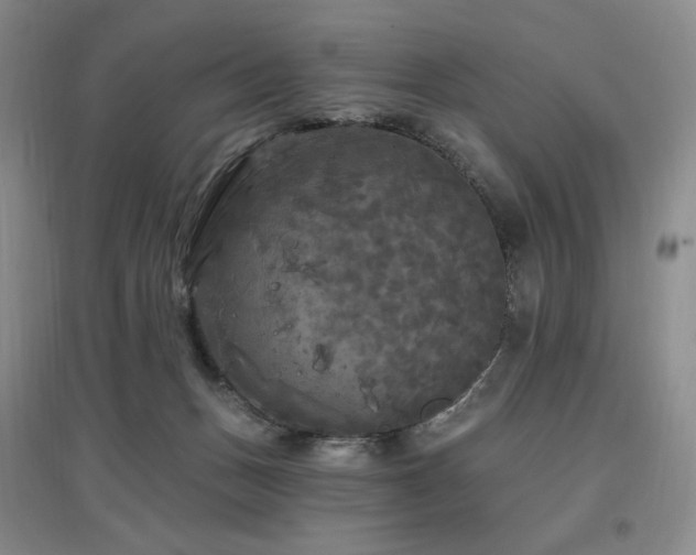X0000097510175200802221515