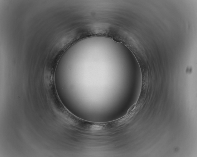 X0000097510176200802221515