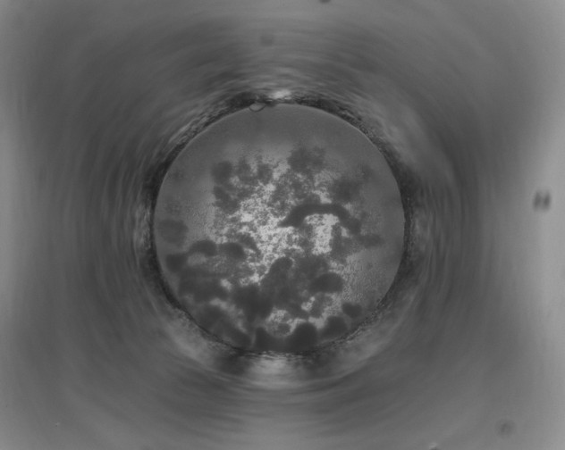 X0000097510177200802221515