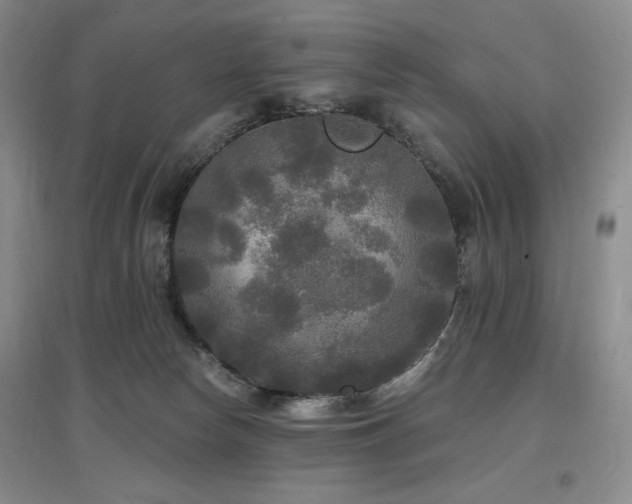 X0000097510178200802221515