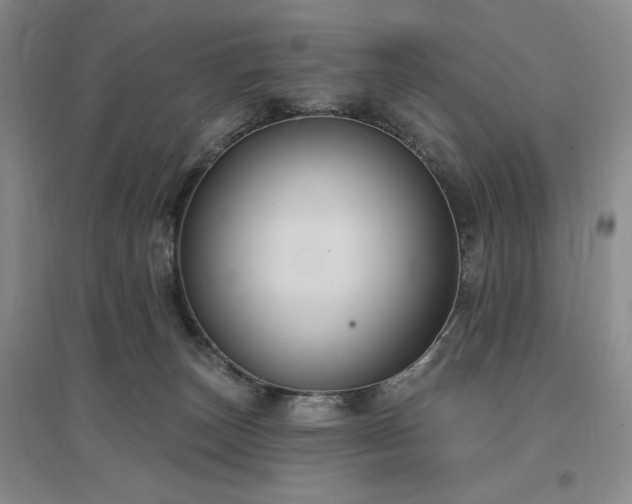 X0000097510179200802221515