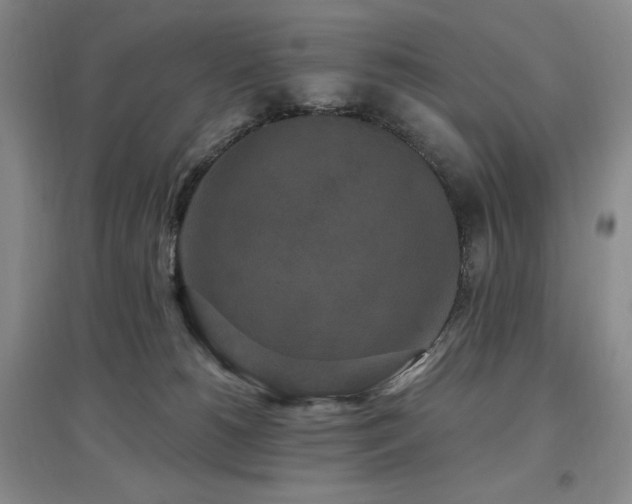 X0000097510180200802221515