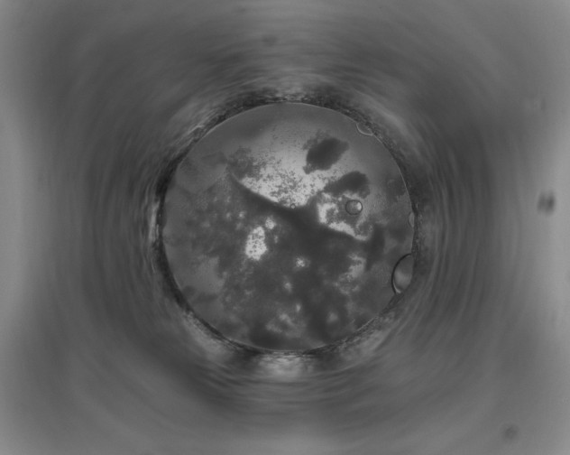 X0000097510181200802221515