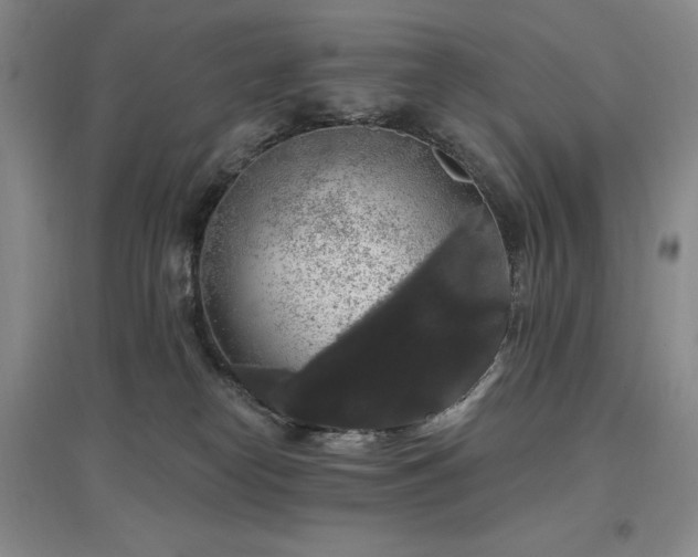 X0000097510182200802221515