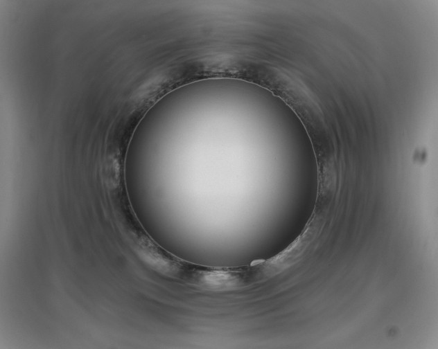 X0000097510183200802221515