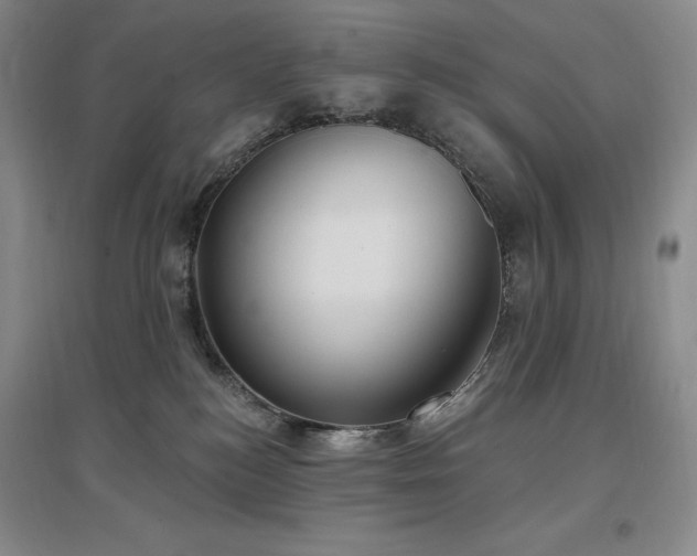 X0000097510184200802221515