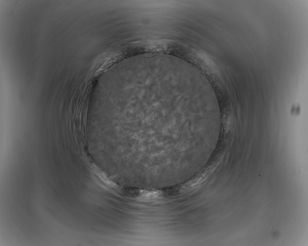 X0000097510185200802221515