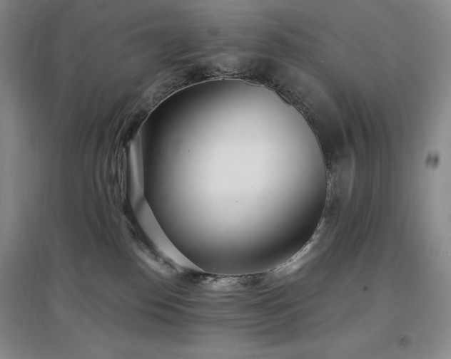 X0000097510186200802221515