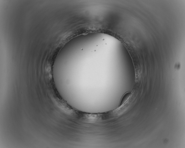 X0000097510187200802221515