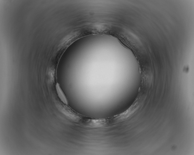 X0000097510188200802221515