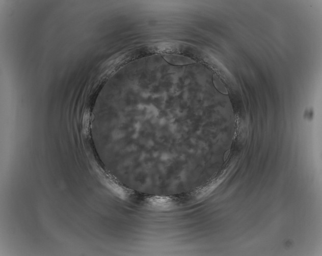 X0000097510189200802221515