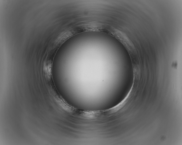 X0000097510190200802221515