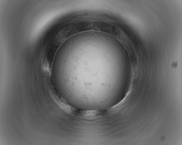 X0000097510191200802221515