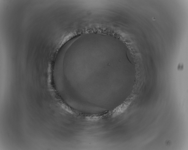 X0000097510192200802221515
