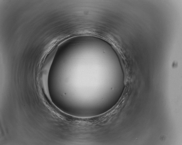 X0000097510193200802221515