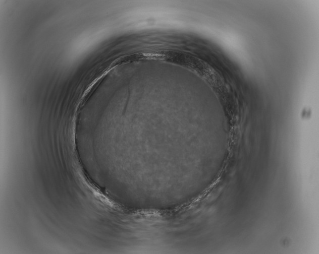 X0000097510194200802221515