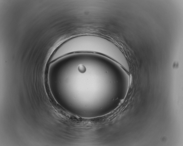 X0000097510195200802221515